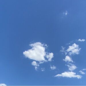 Meet your Posher, Deshone